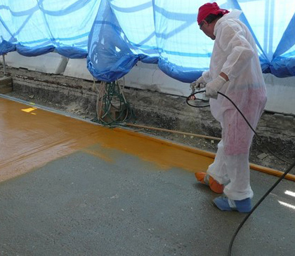 ELIMINATOR® System Protects Historic Bridge Deck | GCP Applied Technologies
